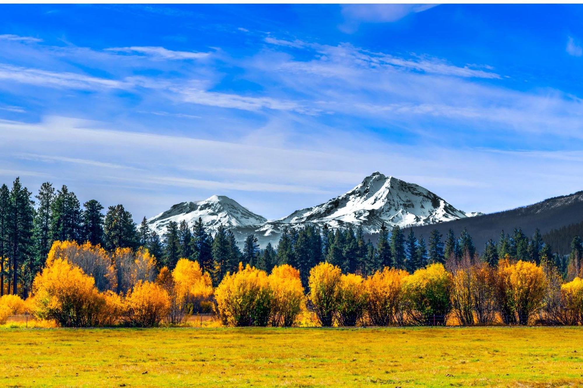 Villa Black Butte Ranch: Hilltop Getaway Extérieur photo